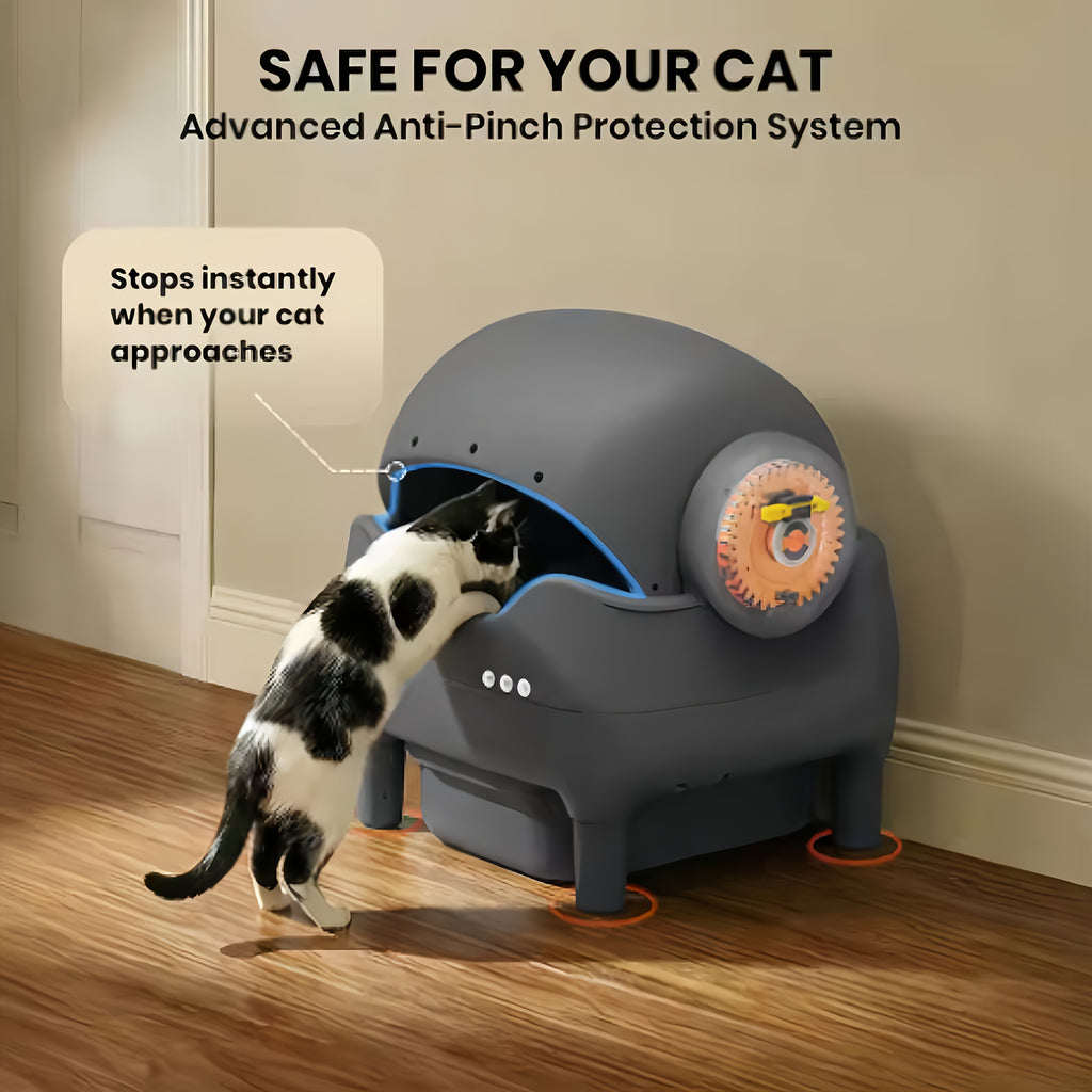 Smart Self‑Cleaning Cat Litter Box, App‑Controlled 2.4G WiFi Automatic Litter Box, 3.43Gal Large Capacity with Odor Removal & Auto‑Scoop, 14‑Day Hands‑Free Care with Accessories for Pets