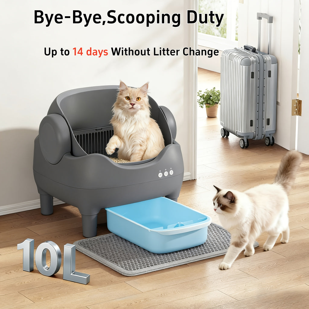 Smart Self‑Cleaning Cat Litter Box, App‑Controlled 2.4G WiFi Automatic Litter Box, 3.43Gal Large Capacity with Odor Removal & Auto‑Scoop, 14‑Day Hands‑Free Care with Accessories for Pets