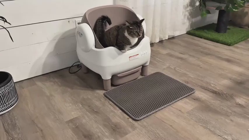 Smart Self‑Cleaning Cat Litter Box, App‑Controlled 2.4G WiFi Automatic Litter Box, 3.43Gal Large Capacity with Odor Removal & Auto‑Scoop, 14‑Day Hands‑Free Care with Accessories for Pets